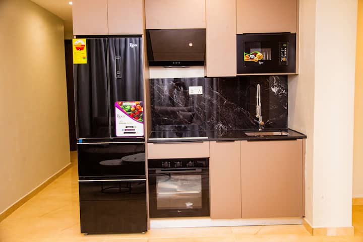 Executive Luxury Apartment in Osu