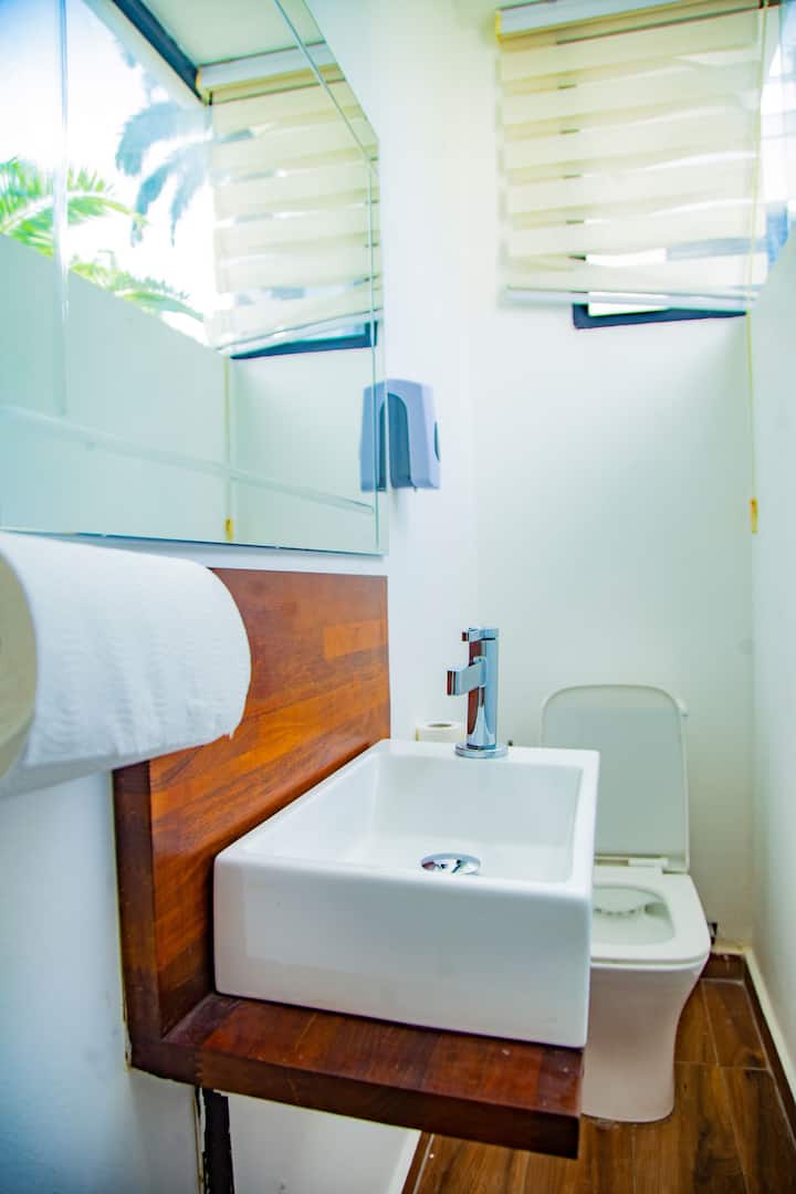 Executive Luxury Townhouse-Cantonment